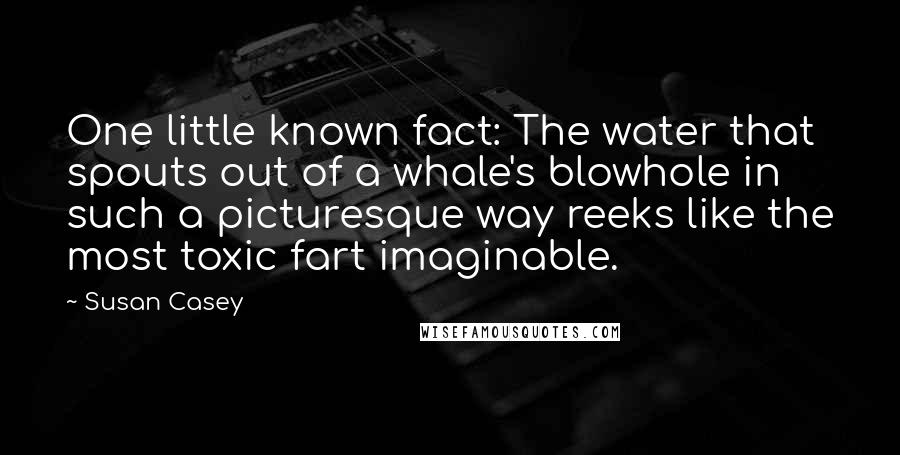 Susan Casey Quotes: One little known fact: The water that spouts out of a whale's blowhole in such a picturesque way reeks like the most toxic fart imaginable.