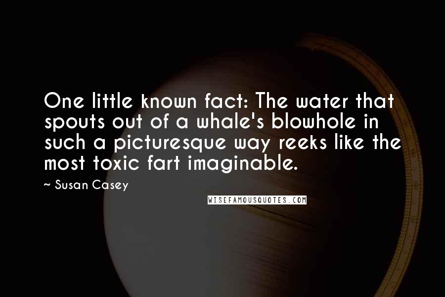 Susan Casey Quotes: One little known fact: The water that spouts out of a whale's blowhole in such a picturesque way reeks like the most toxic fart imaginable.