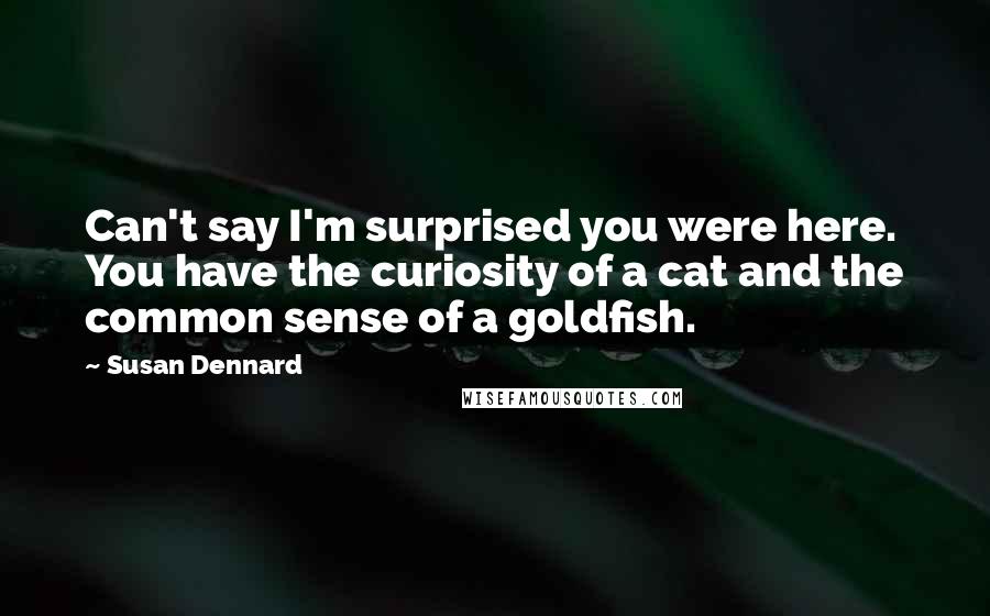 Susan Dennard Quotes: Can't say I'm surprised you were here. You have the curiosity of a cat and the common sense of a goldfish.