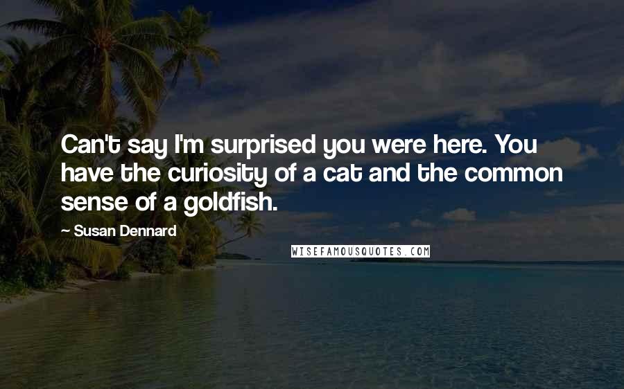 Susan Dennard Quotes: Can't say I'm surprised you were here. You have the curiosity of a cat and the common sense of a goldfish.