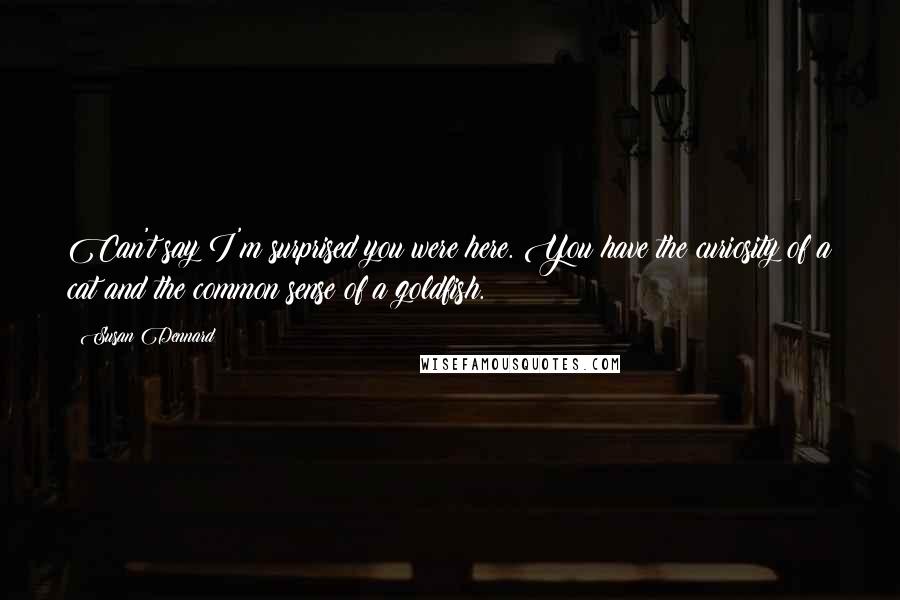 Susan Dennard Quotes: Can't say I'm surprised you were here. You have the curiosity of a cat and the common sense of a goldfish.