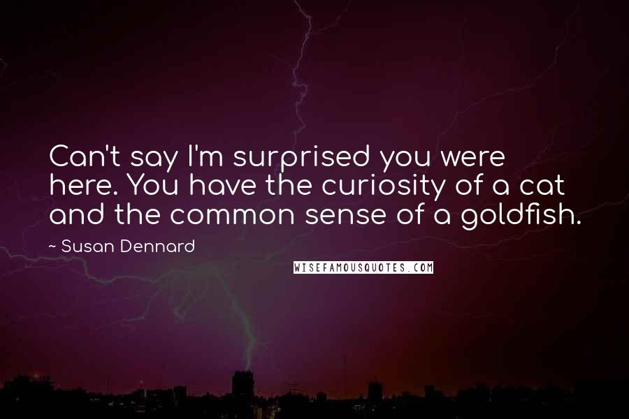 Susan Dennard Quotes: Can't say I'm surprised you were here. You have the curiosity of a cat and the common sense of a goldfish.