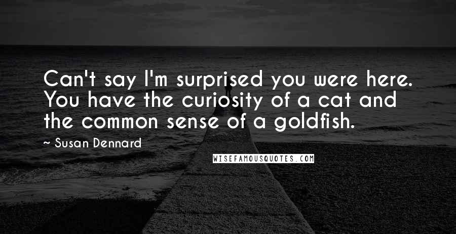 Susan Dennard Quotes: Can't say I'm surprised you were here. You have the curiosity of a cat and the common sense of a goldfish.