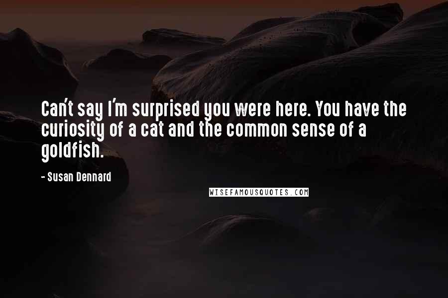 Susan Dennard Quotes: Can't say I'm surprised you were here. You have the curiosity of a cat and the common sense of a goldfish.