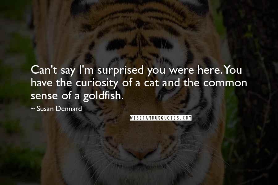 Susan Dennard Quotes: Can't say I'm surprised you were here. You have the curiosity of a cat and the common sense of a goldfish.