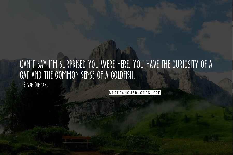 Susan Dennard Quotes: Can't say I'm surprised you were here. You have the curiosity of a cat and the common sense of a goldfish.