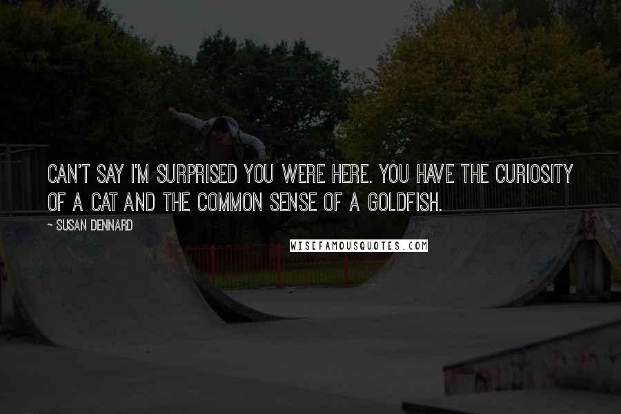 Susan Dennard Quotes: Can't say I'm surprised you were here. You have the curiosity of a cat and the common sense of a goldfish.