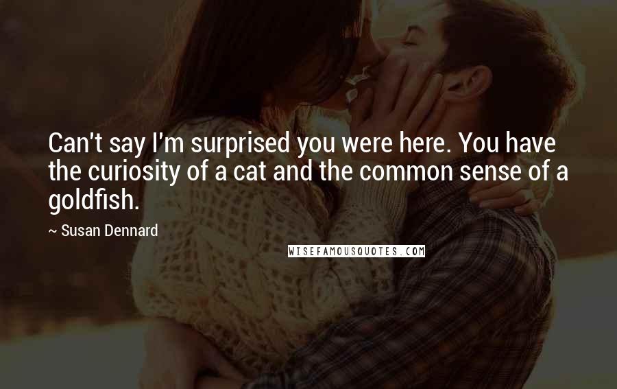 Susan Dennard Quotes: Can't say I'm surprised you were here. You have the curiosity of a cat and the common sense of a goldfish.