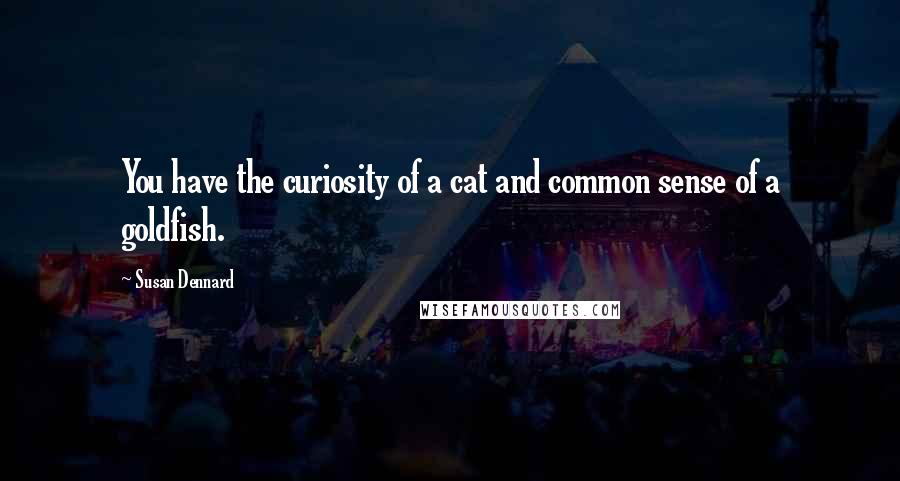 Susan Dennard Quotes: You have the curiosity of a cat and common sense of a goldfish.