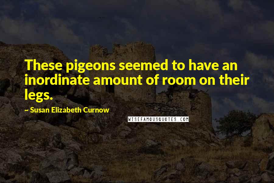 Susan Elizabeth Curnow Quotes: These pigeons seemed to have an inordinate amount of room on their legs.