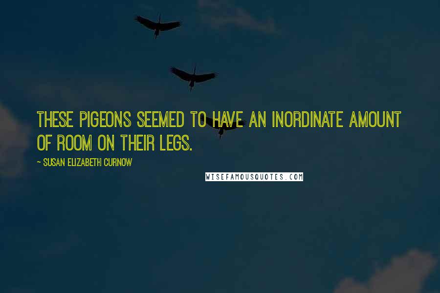 Susan Elizabeth Curnow Quotes: These pigeons seemed to have an inordinate amount of room on their legs.