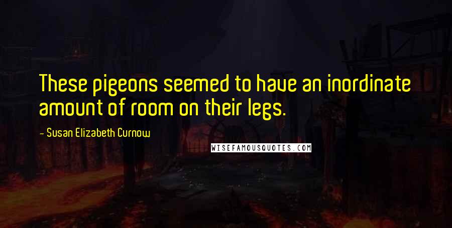 Susan Elizabeth Curnow Quotes: These pigeons seemed to have an inordinate amount of room on their legs.