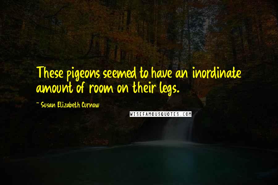 Susan Elizabeth Curnow Quotes: These pigeons seemed to have an inordinate amount of room on their legs.