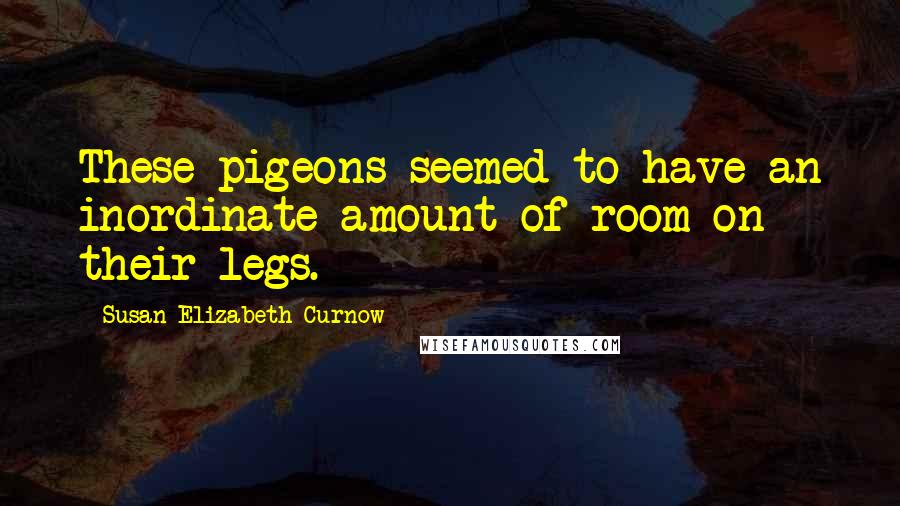 Susan Elizabeth Curnow Quotes: These pigeons seemed to have an inordinate amount of room on their legs.