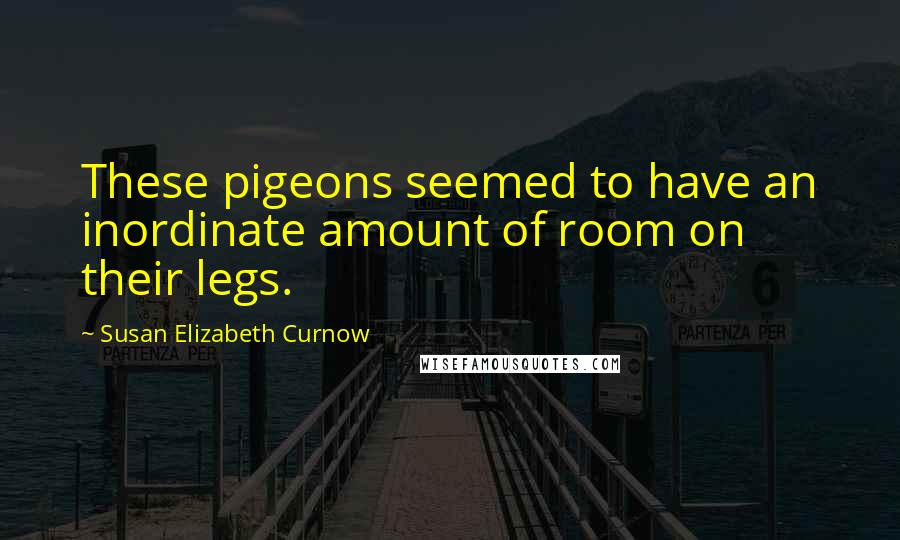 Susan Elizabeth Curnow Quotes: These pigeons seemed to have an inordinate amount of room on their legs.