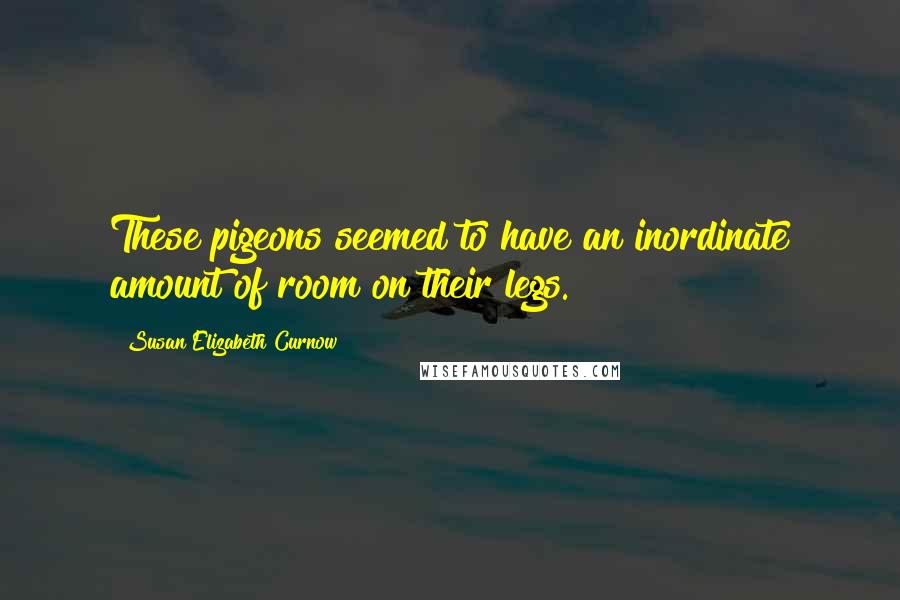Susan Elizabeth Curnow Quotes: These pigeons seemed to have an inordinate amount of room on their legs.