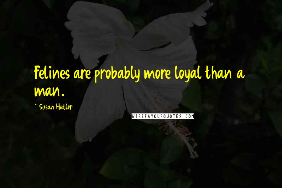 Susan Hatler Quotes: Felines are probably more loyal than a man.