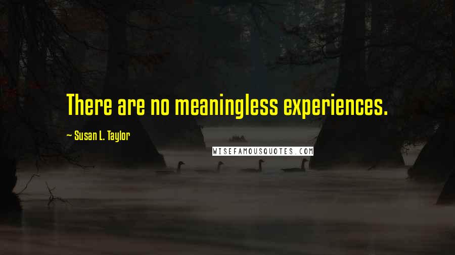 Susan L. Taylor Quotes: There are no meaningless experiences.