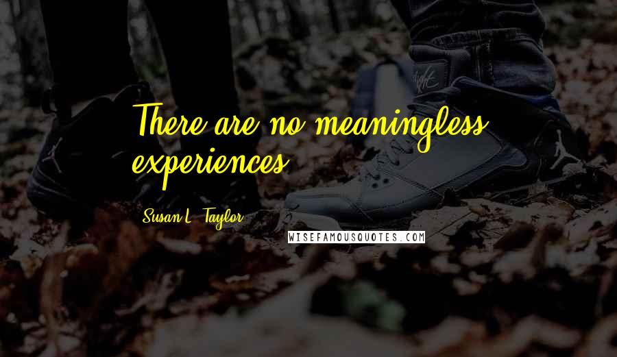 Susan L. Taylor Quotes: There are no meaningless experiences.