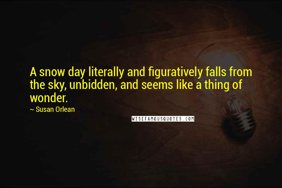 Susan Orlean Quotes: A snow day literally and figuratively falls from the sky, unbidden, and seems like a thing of wonder.
