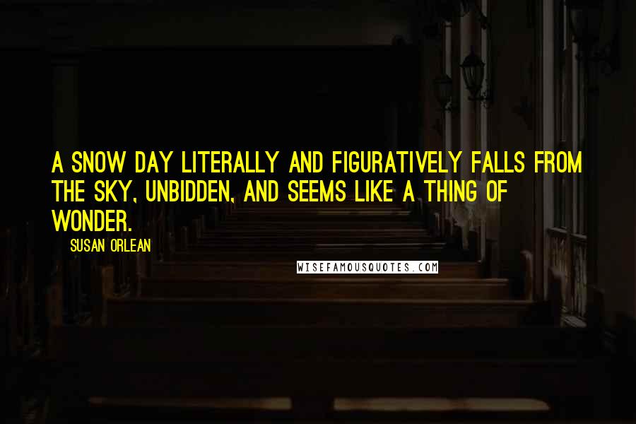 Susan Orlean Quotes: A snow day literally and figuratively falls from the sky, unbidden, and seems like a thing of wonder.