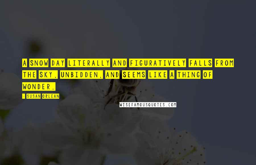 Susan Orlean Quotes: A snow day literally and figuratively falls from the sky, unbidden, and seems like a thing of wonder.