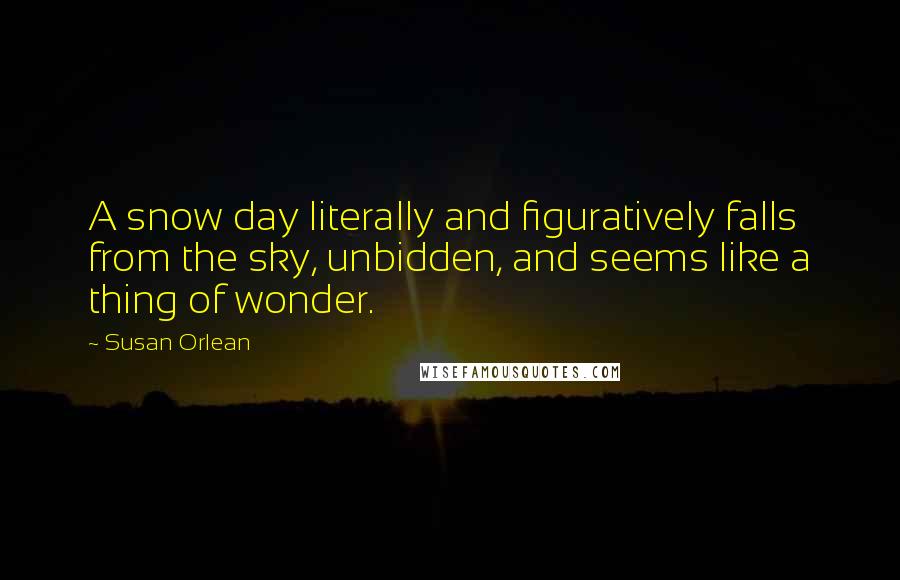 Susan Orlean Quotes: A snow day literally and figuratively falls from the sky, unbidden, and seems like a thing of wonder.