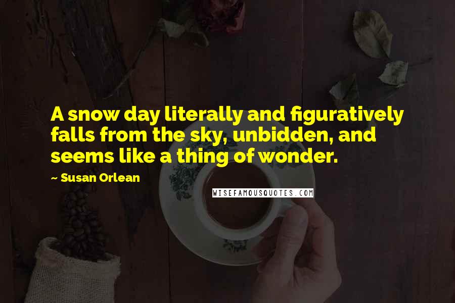 Susan Orlean Quotes: A snow day literally and figuratively falls from the sky, unbidden, and seems like a thing of wonder.