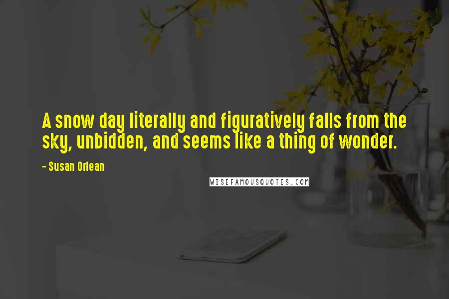 Susan Orlean Quotes: A snow day literally and figuratively falls from the sky, unbidden, and seems like a thing of wonder.