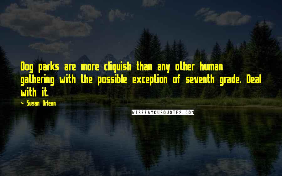 Susan Orlean Quotes: Dog parks are more cliquish than any other human gathering with the possible exception of seventh grade. Deal with it.