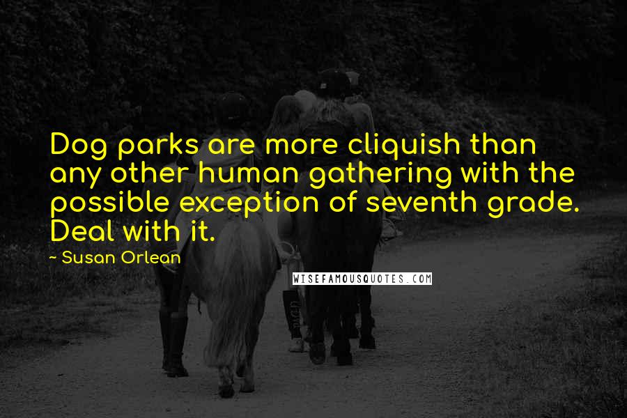 Susan Orlean Quotes: Dog parks are more cliquish than any other human gathering with the possible exception of seventh grade. Deal with it.