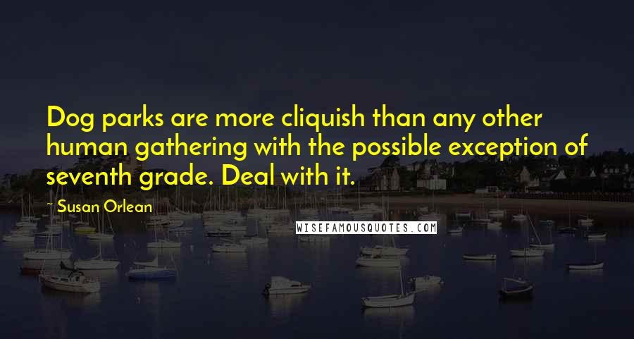 Susan Orlean Quotes: Dog parks are more cliquish than any other human gathering with the possible exception of seventh grade. Deal with it.