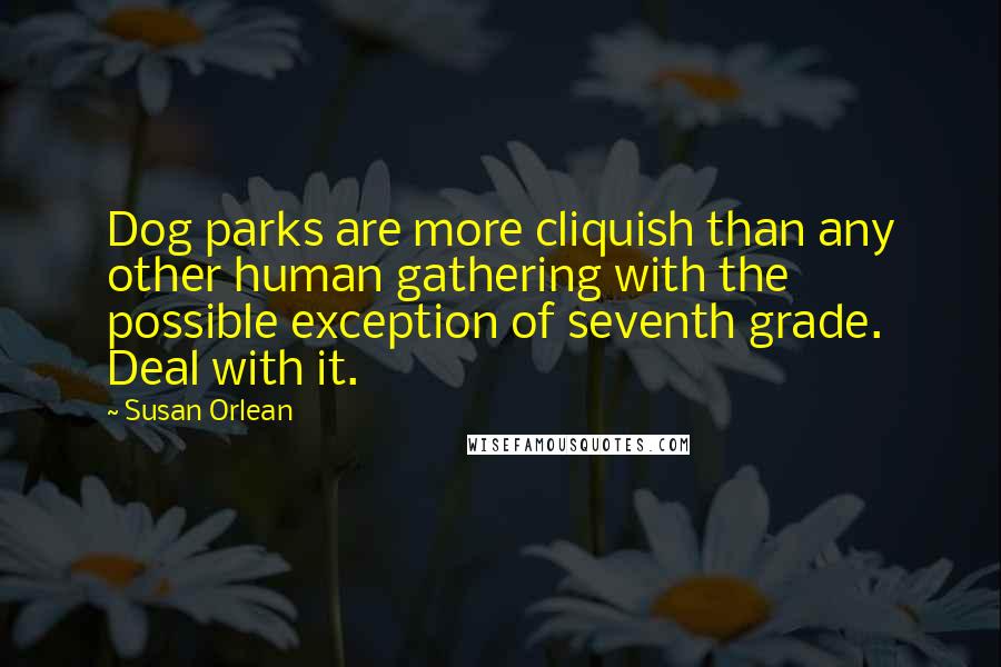 Susan Orlean Quotes: Dog parks are more cliquish than any other human gathering with the possible exception of seventh grade. Deal with it.