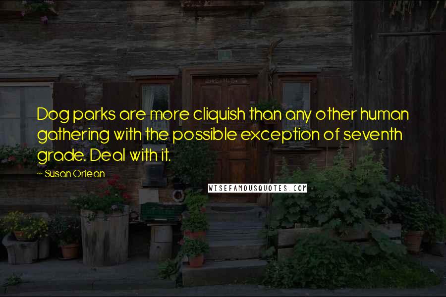 Susan Orlean Quotes: Dog parks are more cliquish than any other human gathering with the possible exception of seventh grade. Deal with it.