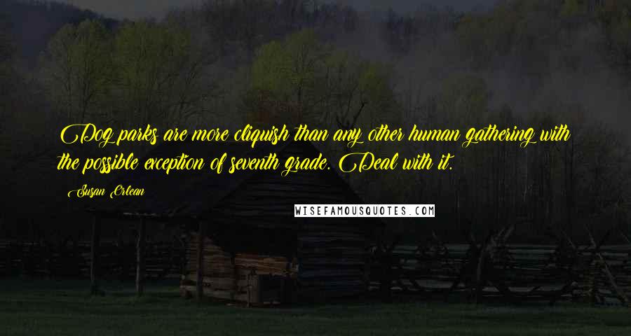 Susan Orlean Quotes: Dog parks are more cliquish than any other human gathering with the possible exception of seventh grade. Deal with it.