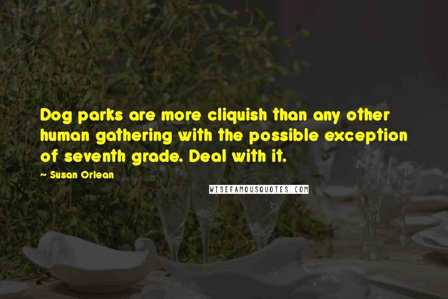 Susan Orlean Quotes: Dog parks are more cliquish than any other human gathering with the possible exception of seventh grade. Deal with it.