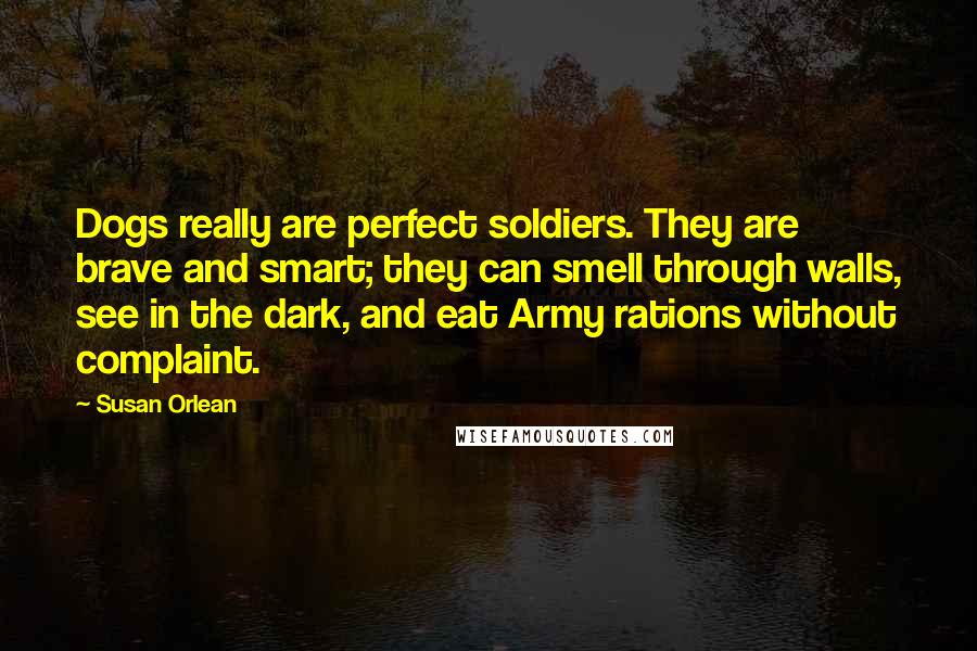 Susan Orlean Quotes: Dogs really are perfect soldiers. They are brave and smart; they can smell through walls, see in the dark, and eat Army rations without complaint.