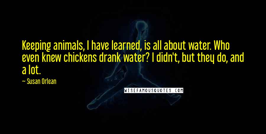 Susan Orlean Quotes: Keeping animals, I have learned, is all about water. Who even knew chickens drank water? I didn't, but they do, and a lot.