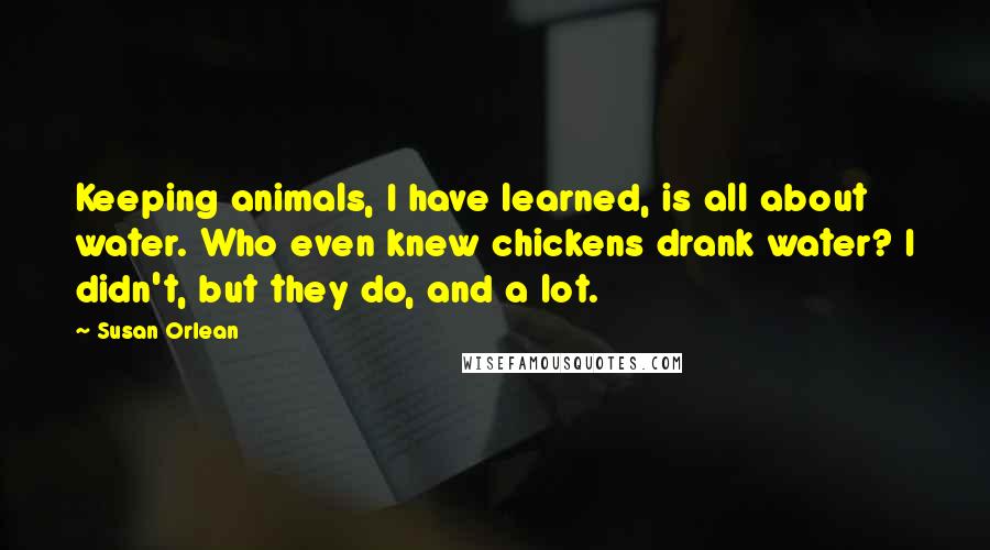 Susan Orlean Quotes: Keeping animals, I have learned, is all about water. Who even knew chickens drank water? I didn't, but they do, and a lot.