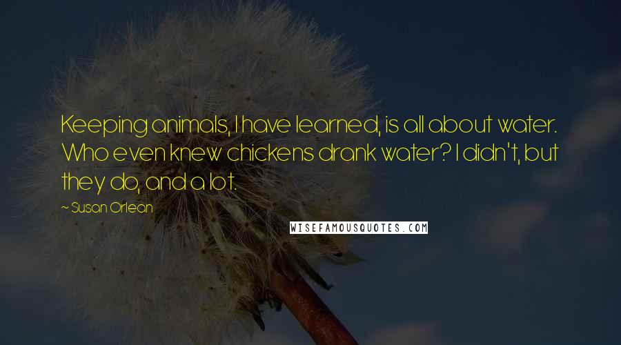 Susan Orlean Quotes: Keeping animals, I have learned, is all about water. Who even knew chickens drank water? I didn't, but they do, and a lot.