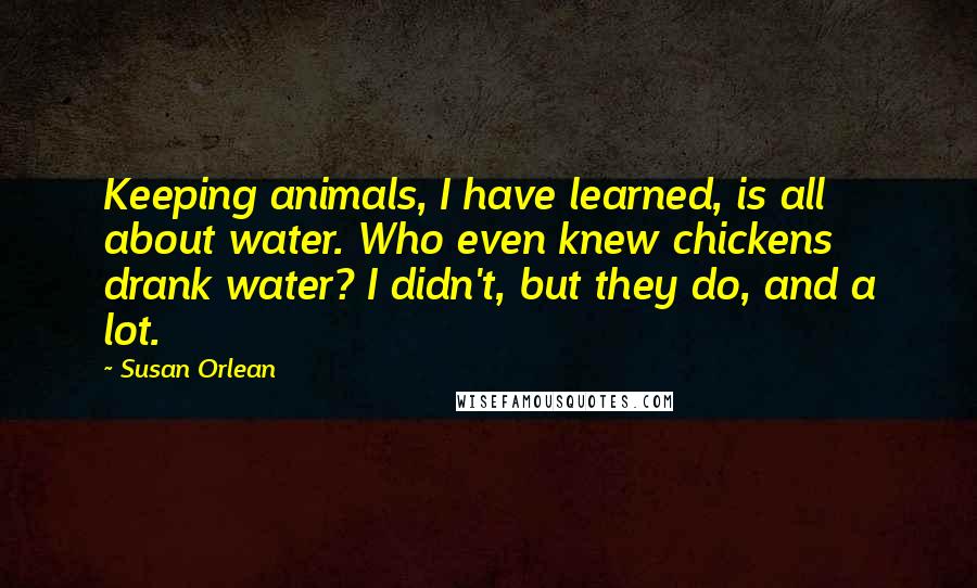 Susan Orlean Quotes: Keeping animals, I have learned, is all about water. Who even knew chickens drank water? I didn't, but they do, and a lot.