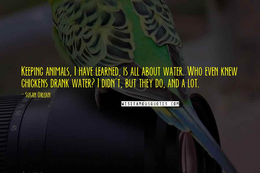 Susan Orlean Quotes: Keeping animals, I have learned, is all about water. Who even knew chickens drank water? I didn't, but they do, and a lot.