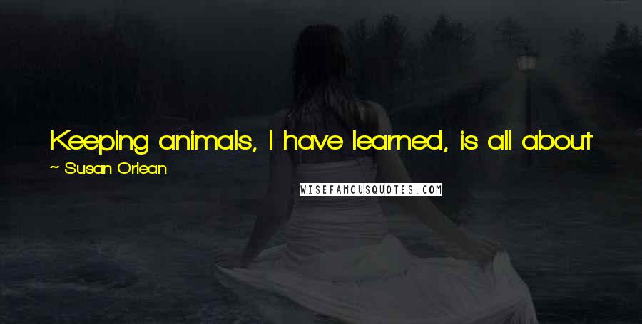 Susan Orlean Quotes: Keeping animals, I have learned, is all about water. Who even knew chickens drank water? I didn't, but they do, and a lot.