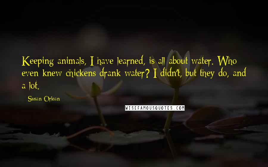 Susan Orlean Quotes: Keeping animals, I have learned, is all about water. Who even knew chickens drank water? I didn't, but they do, and a lot.