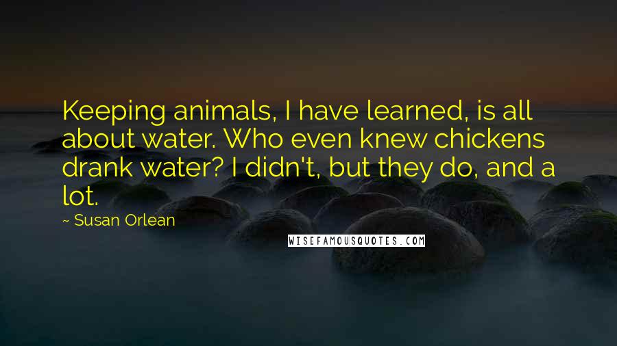 Susan Orlean Quotes: Keeping animals, I have learned, is all about water. Who even knew chickens drank water? I didn't, but they do, and a lot.