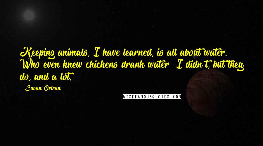 Susan Orlean Quotes: Keeping animals, I have learned, is all about water. Who even knew chickens drank water? I didn't, but they do, and a lot.