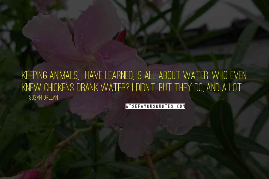 Susan Orlean Quotes: Keeping animals, I have learned, is all about water. Who even knew chickens drank water? I didn't, but they do, and a lot.