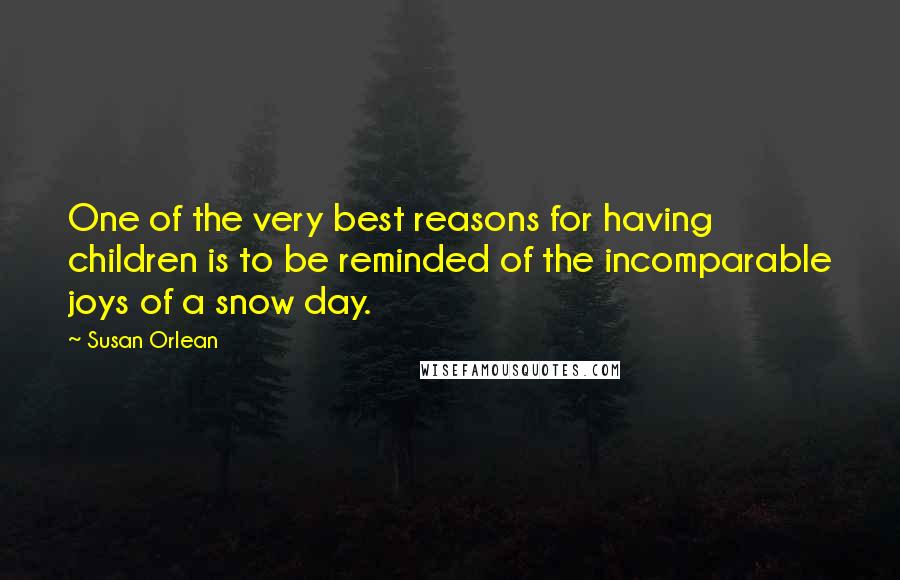 Susan Orlean Quotes: One of the very best reasons for having children is to be reminded of the incomparable joys of a snow day.