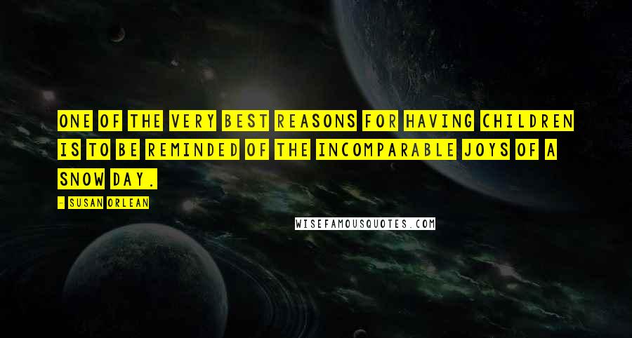 Susan Orlean Quotes: One of the very best reasons for having children is to be reminded of the incomparable joys of a snow day.