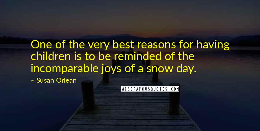 Susan Orlean Quotes: One of the very best reasons for having children is to be reminded of the incomparable joys of a snow day.